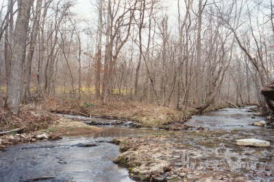 7855 Gordon Lane creeks across street